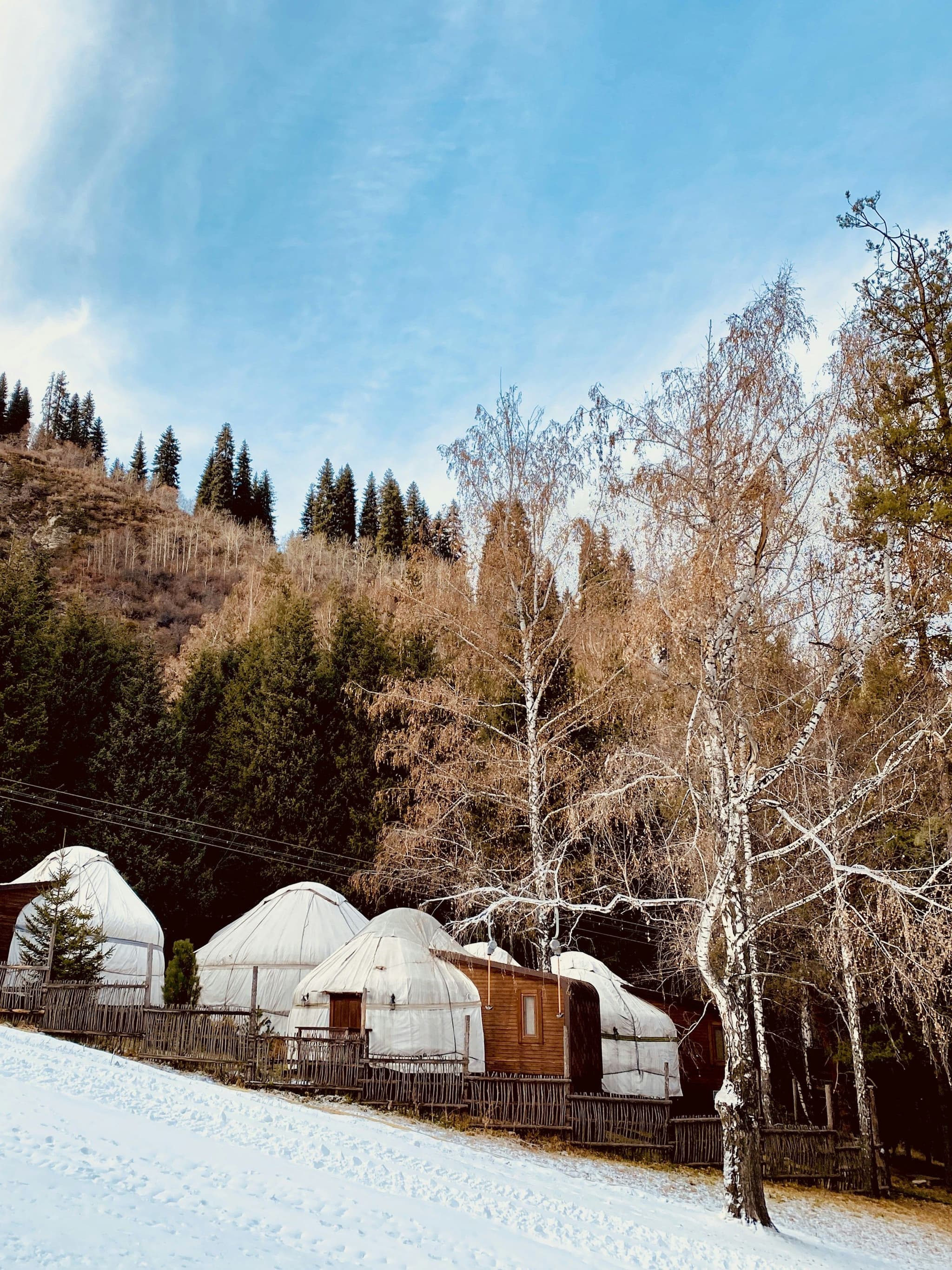 A white felt yurt among trees below the mountains