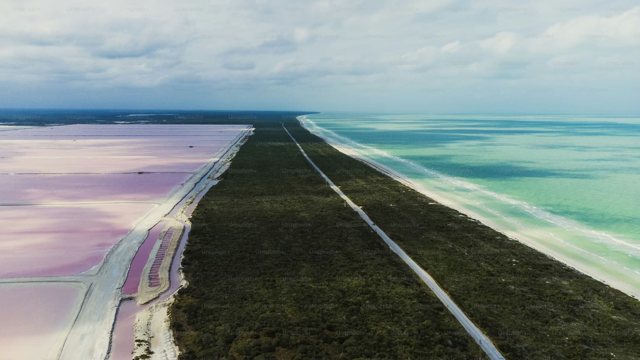 Aerial view of a vibrant landscape features pink salt flats on the left, a lush green forest stripe in the middle, and turquoise ocean on the right under a cloudy sky.