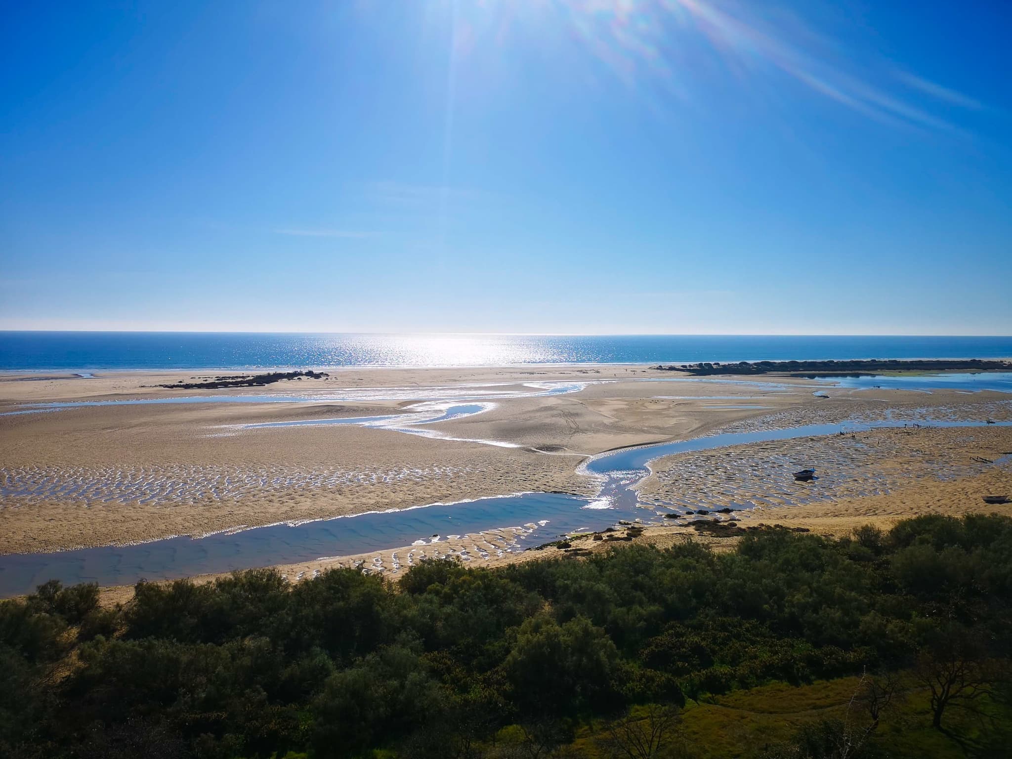 Wide stretch of sand and trees in Ria Formosa national park on a sunny day