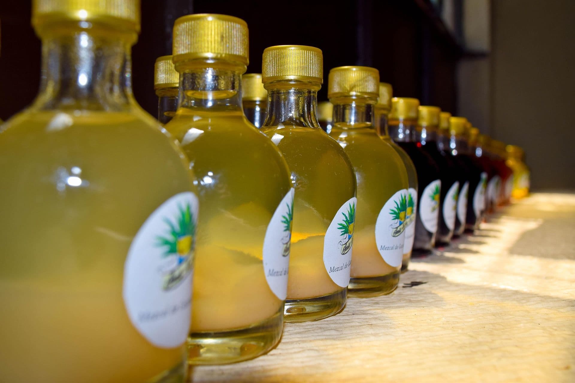 mezcal in bottles in a row