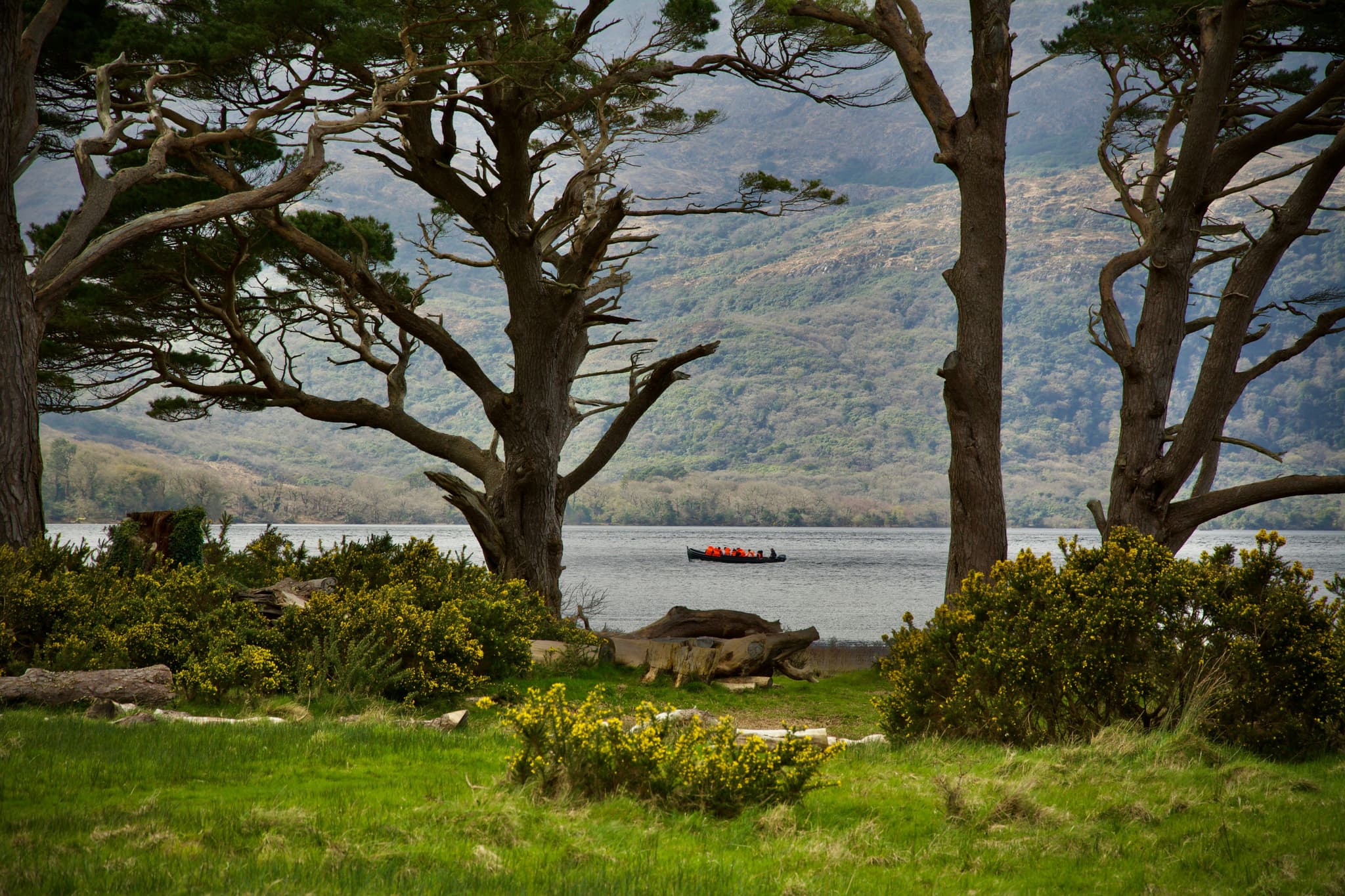 Lake and park in Killarney, Ireland