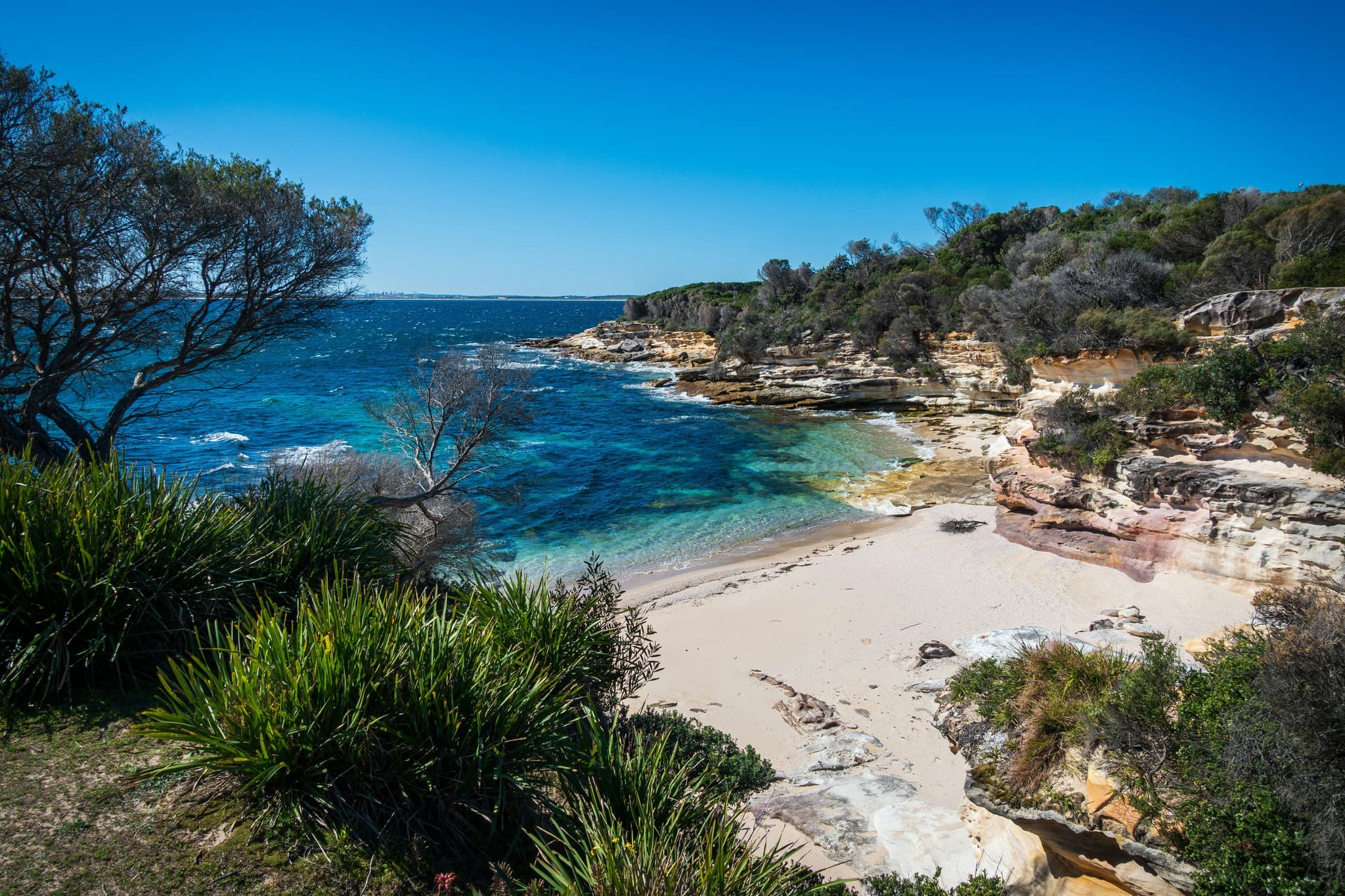 A green nature area and beach with turqoise water in Coogee beach