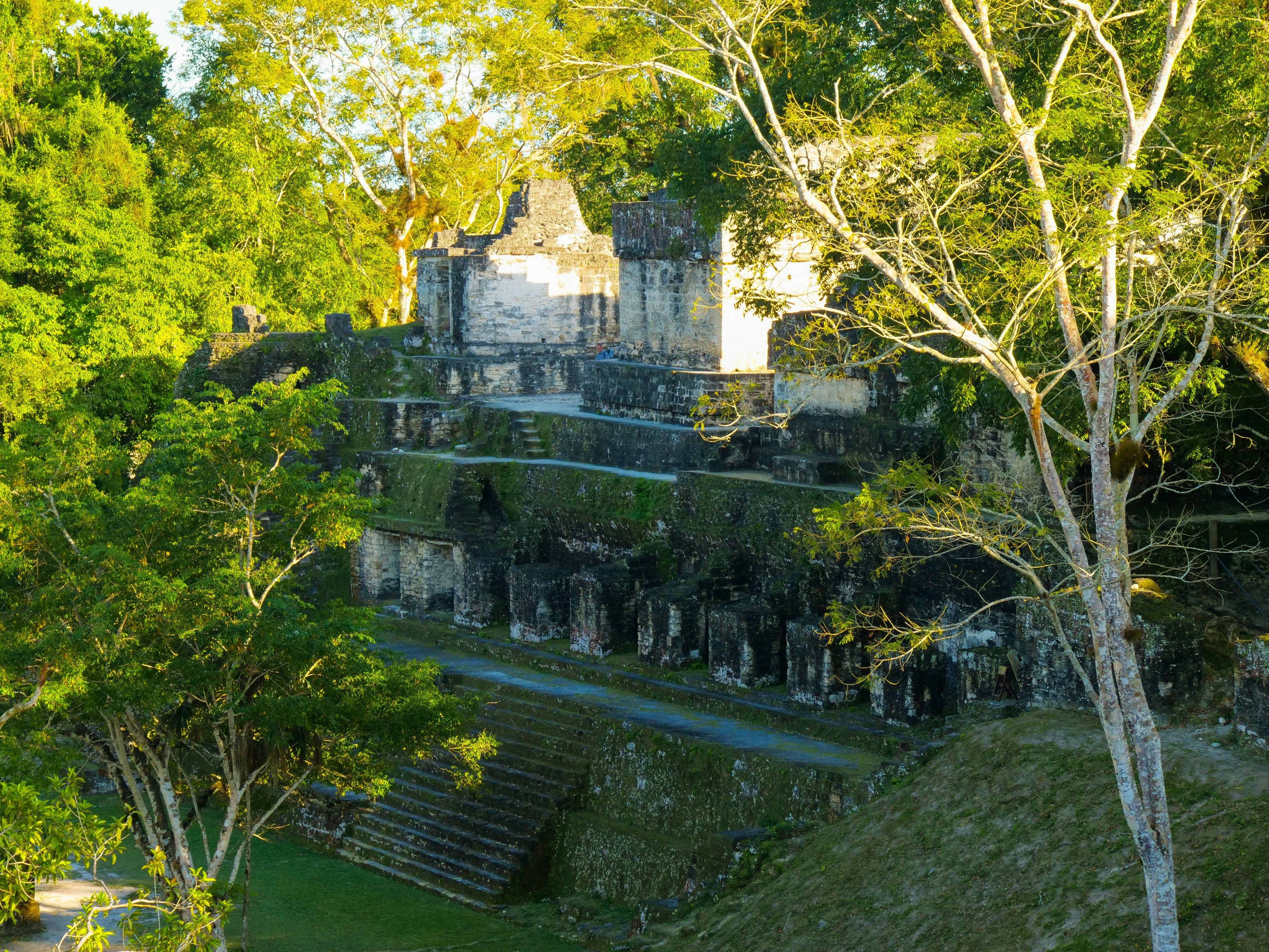 Mayan temple in a forest area