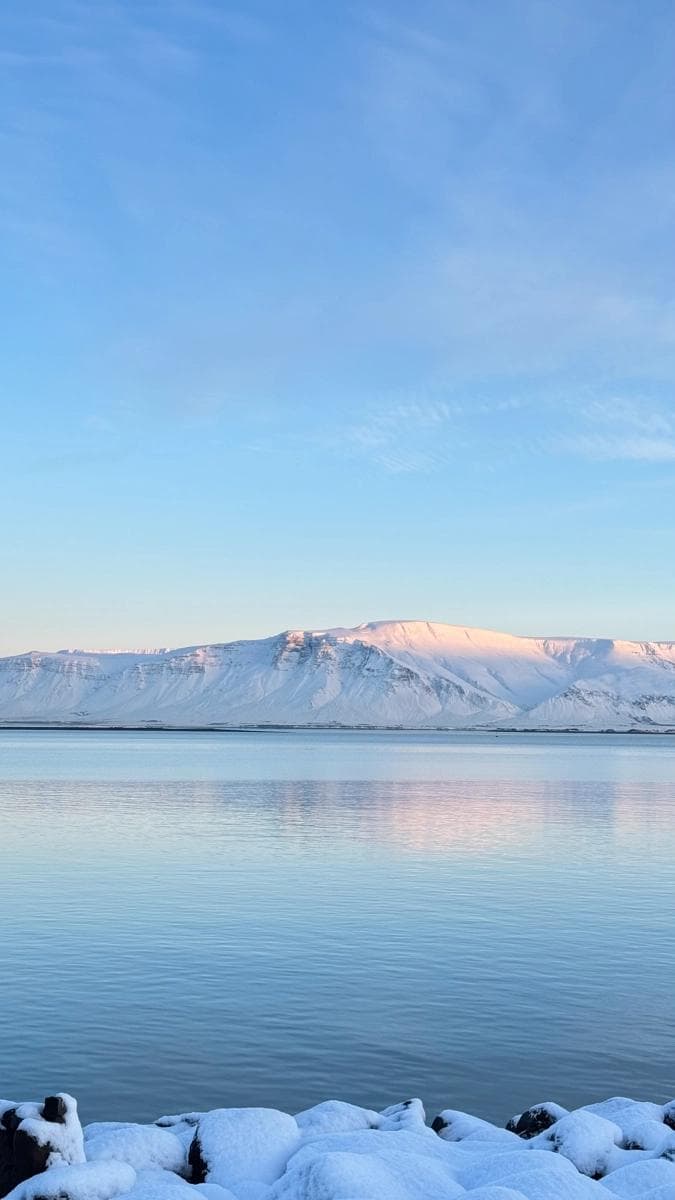 header image