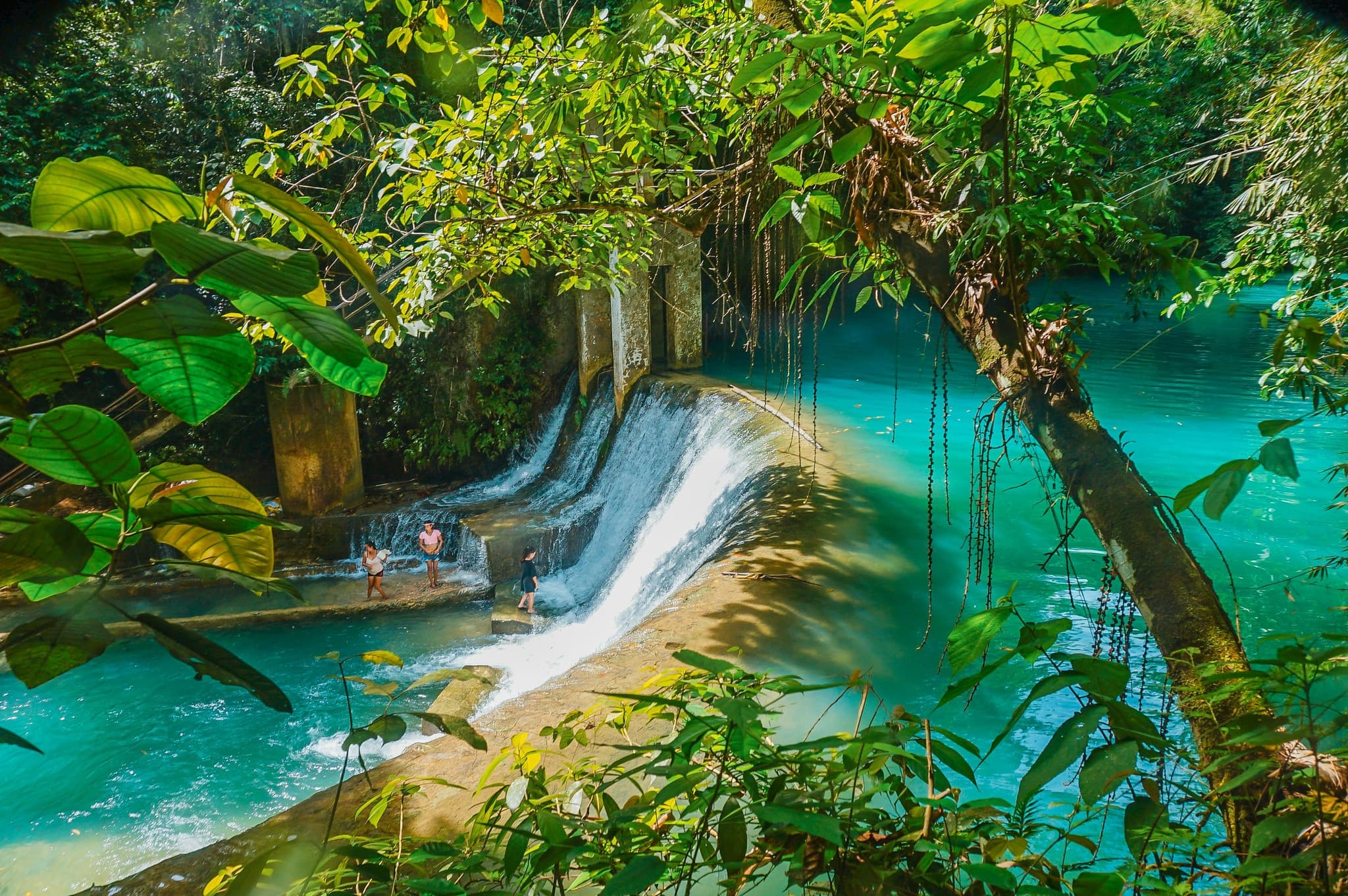 Kawasan Falls waterfall and green trees in Cebu Philippines