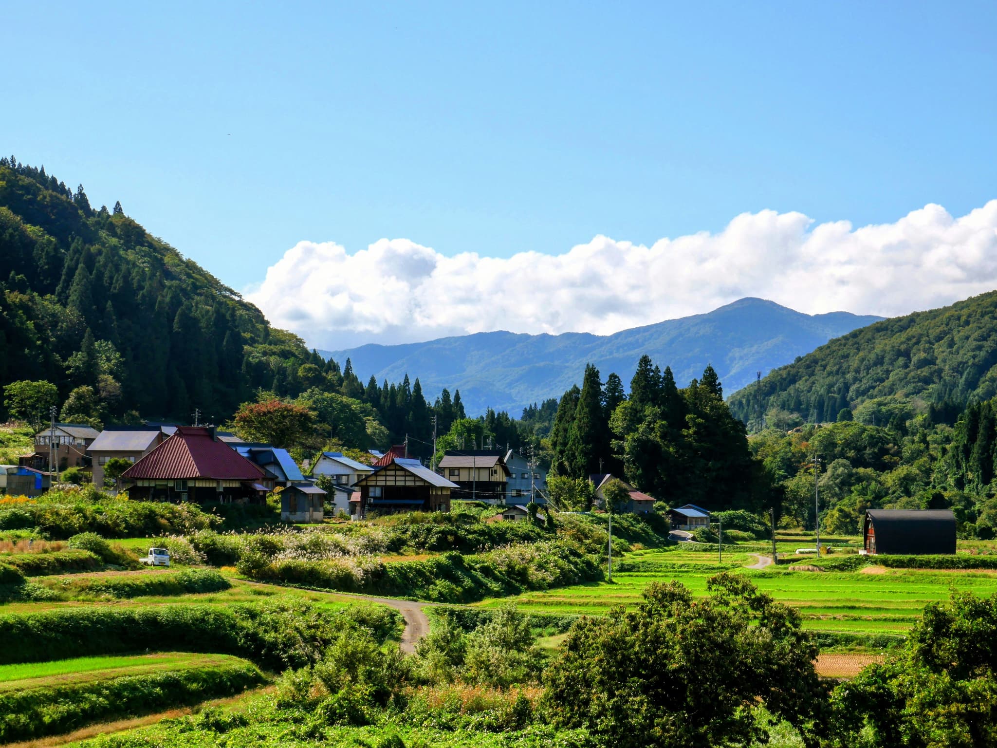 A green landscape with Japanese houses and mountains in the background in Tohoku