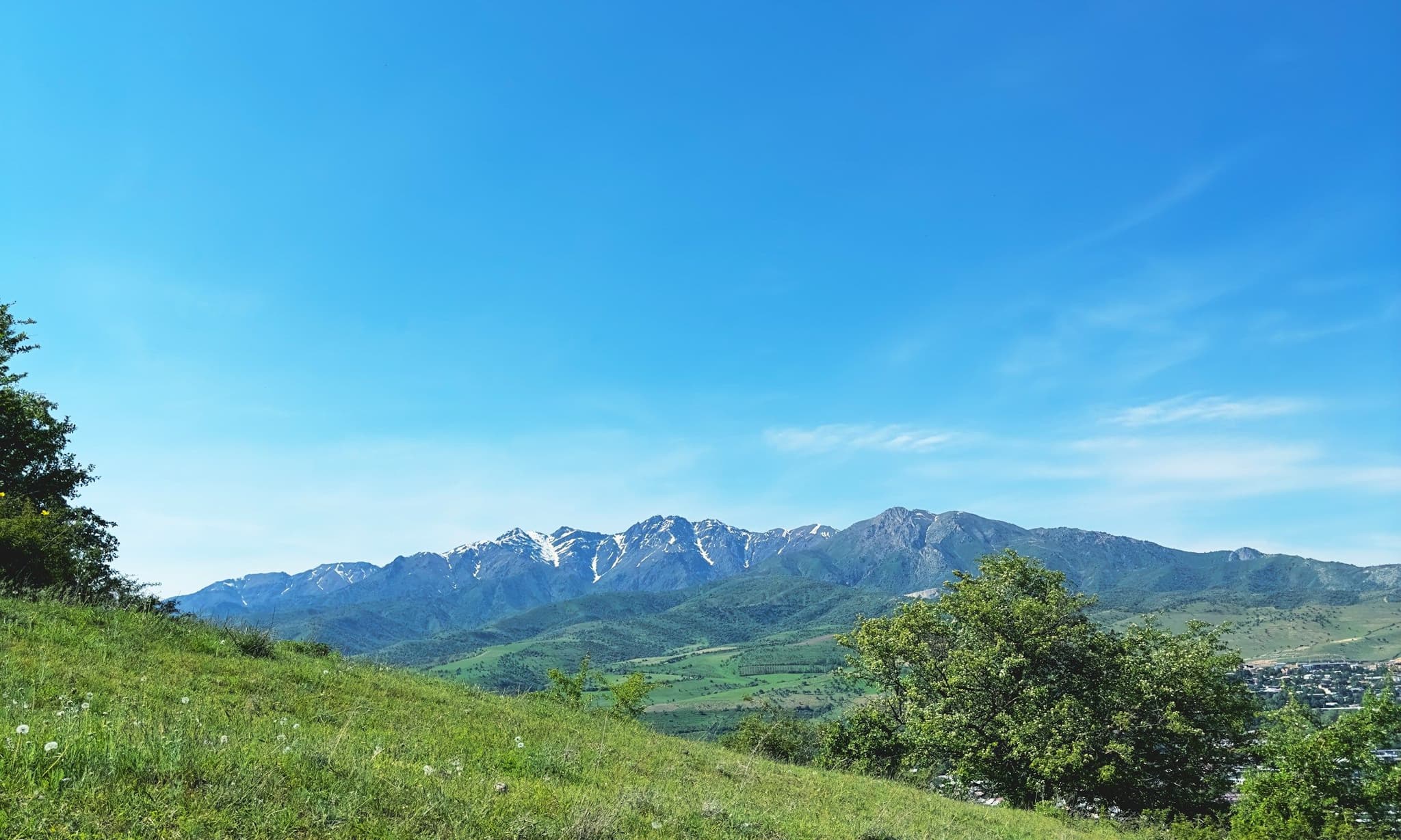 Green foothills with trees and mountains behind