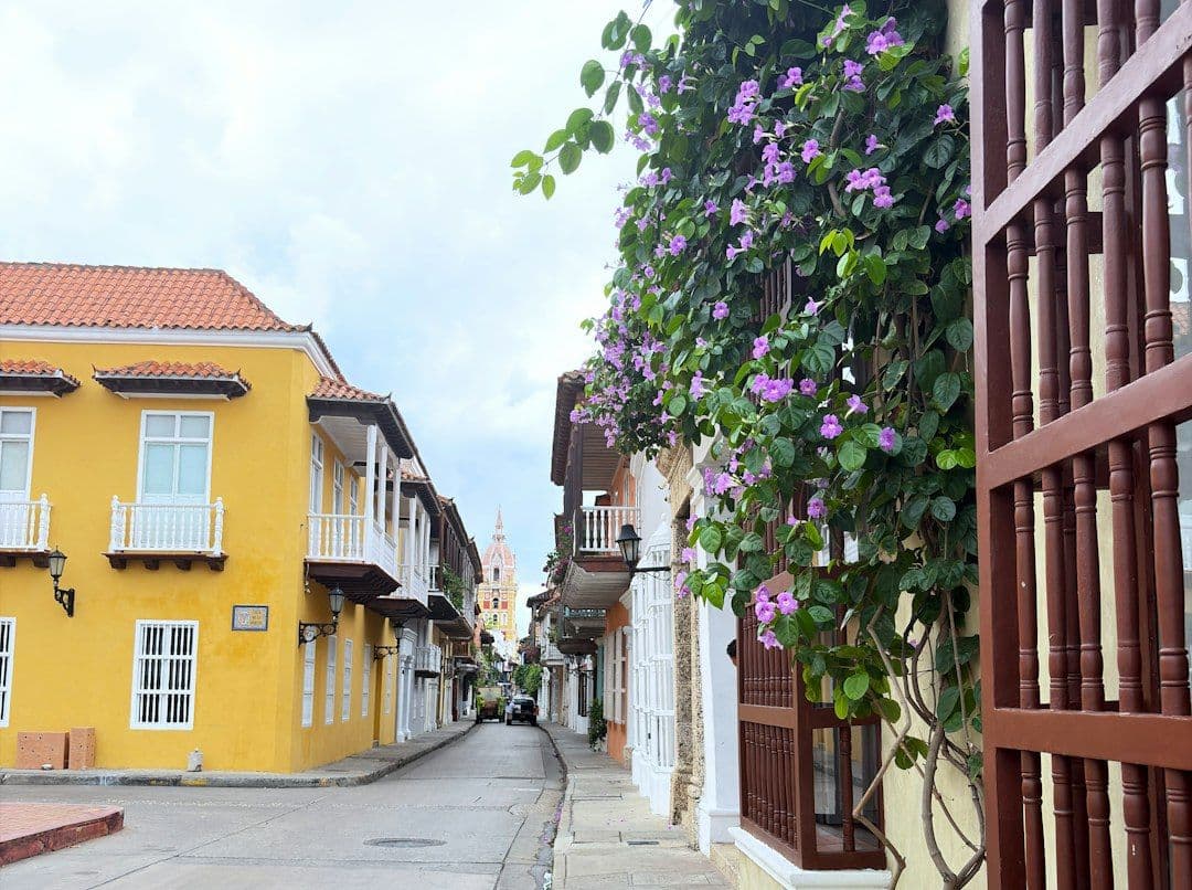 A colorful colonial street lined with flowering vines in Cartagena, Colombia.