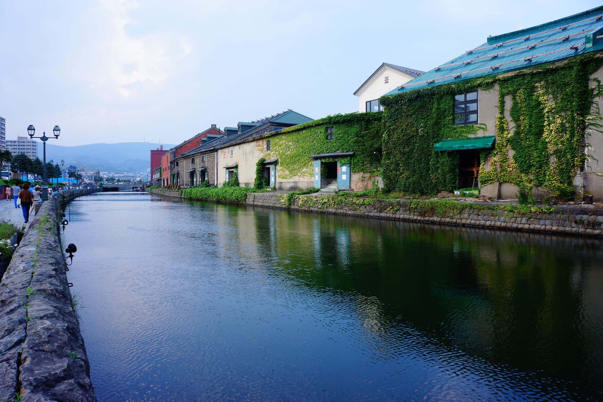 A river in Hokkaido with houses covered in plants