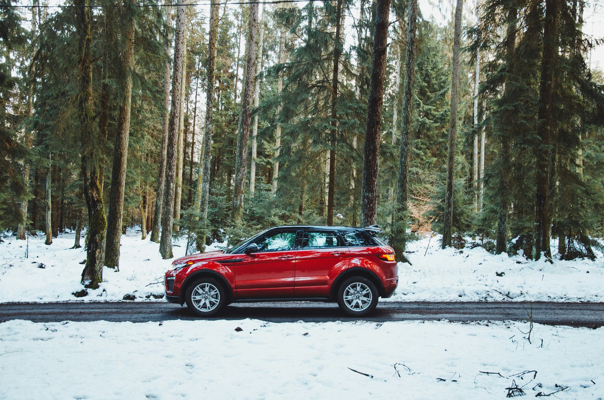 Red car from the side in a snow covered forest with pine trees