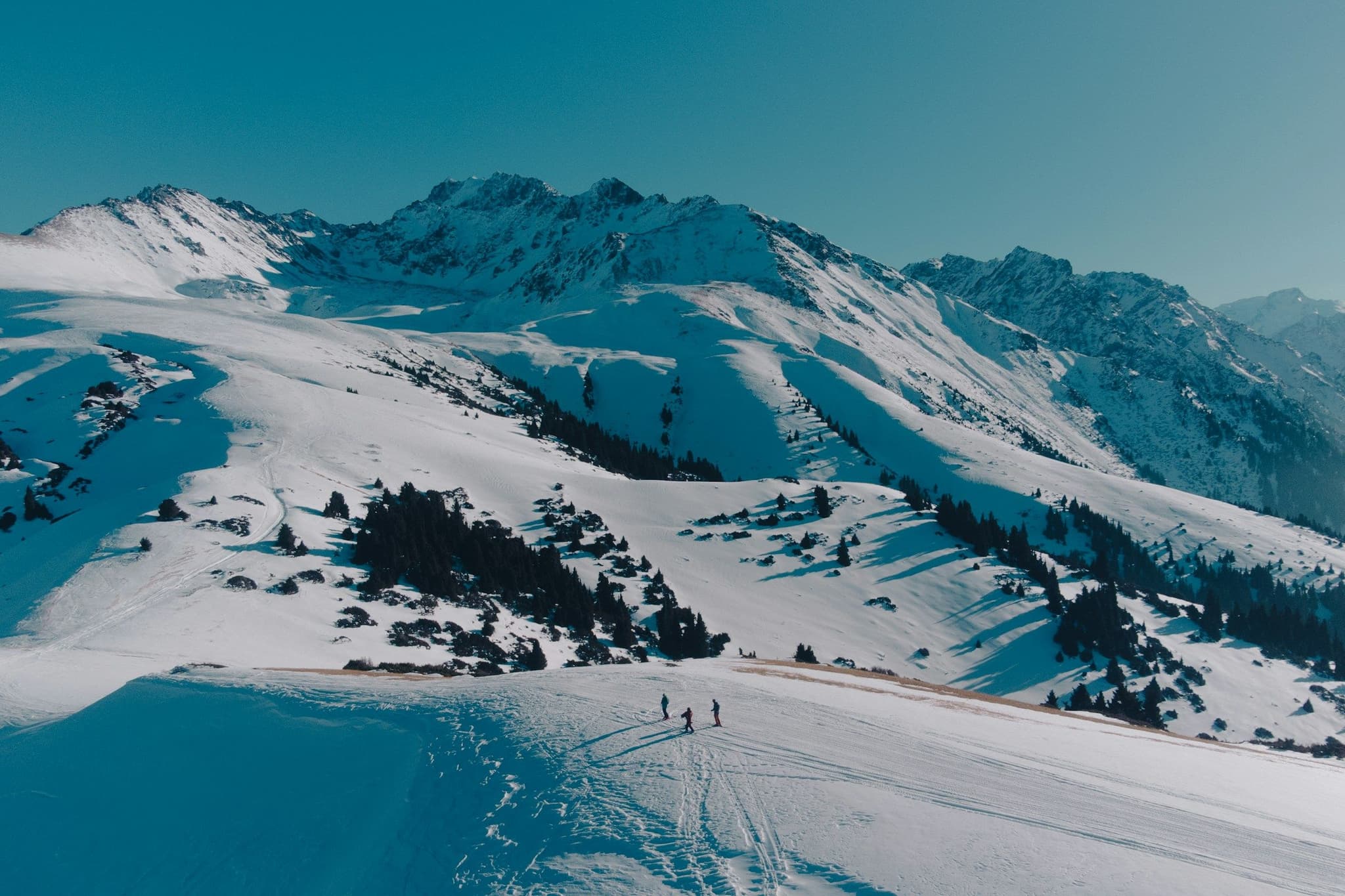 Two skiers on a snowy slope above a forested valley
