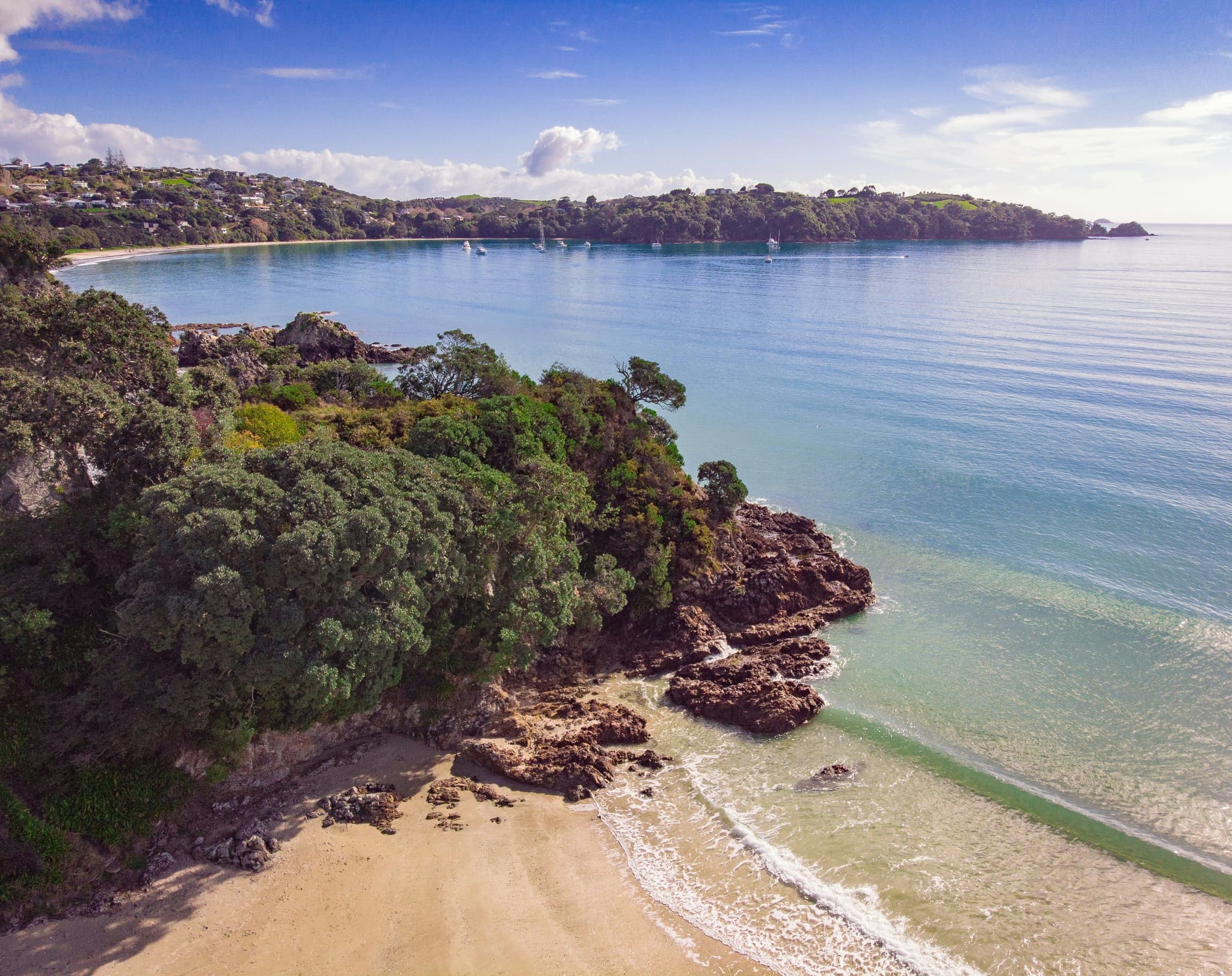 Beaches and trees on Waiheke Island New Zealand on a clear day