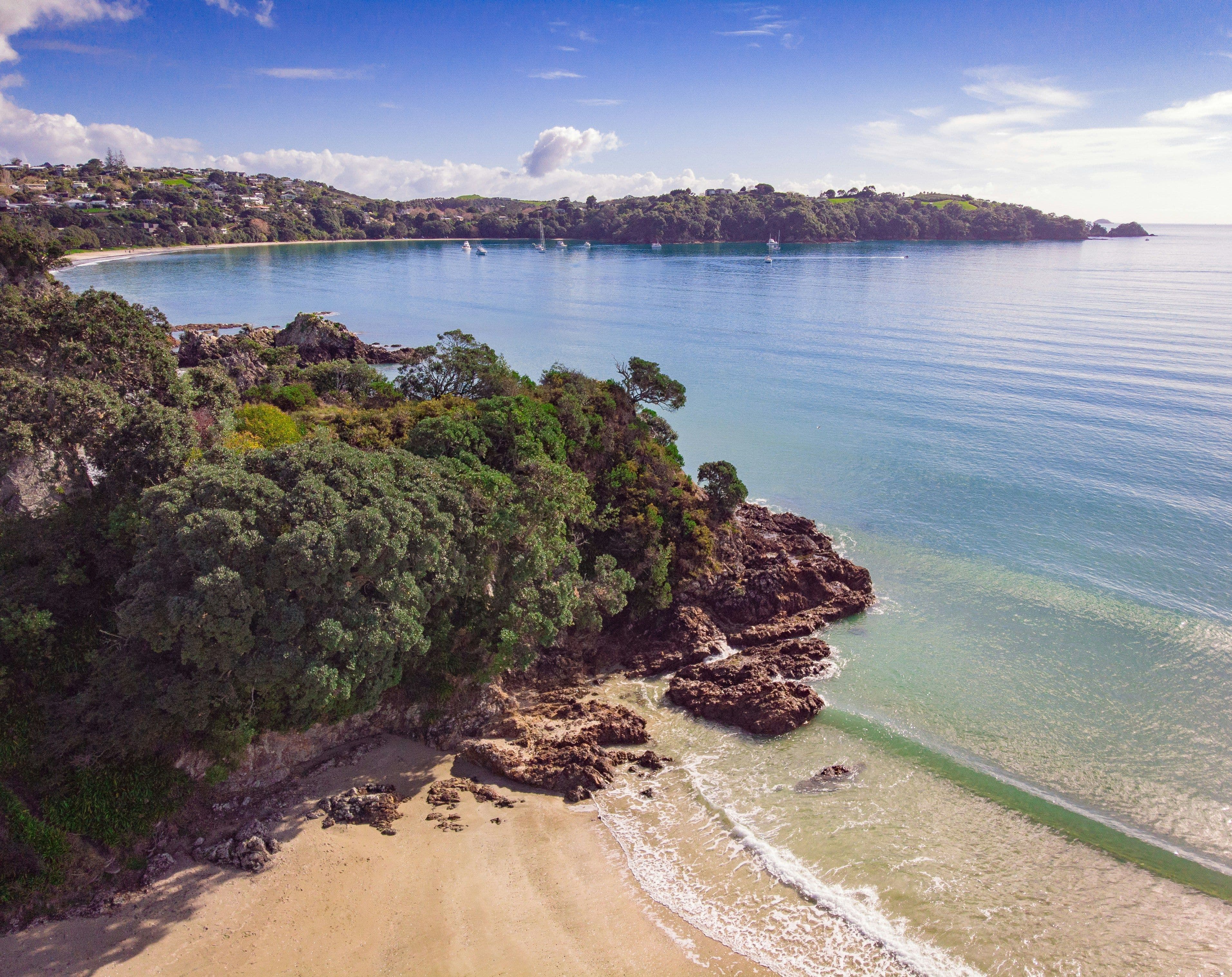 Beaches and trees on Waiheke Island New Zealand on a clear day