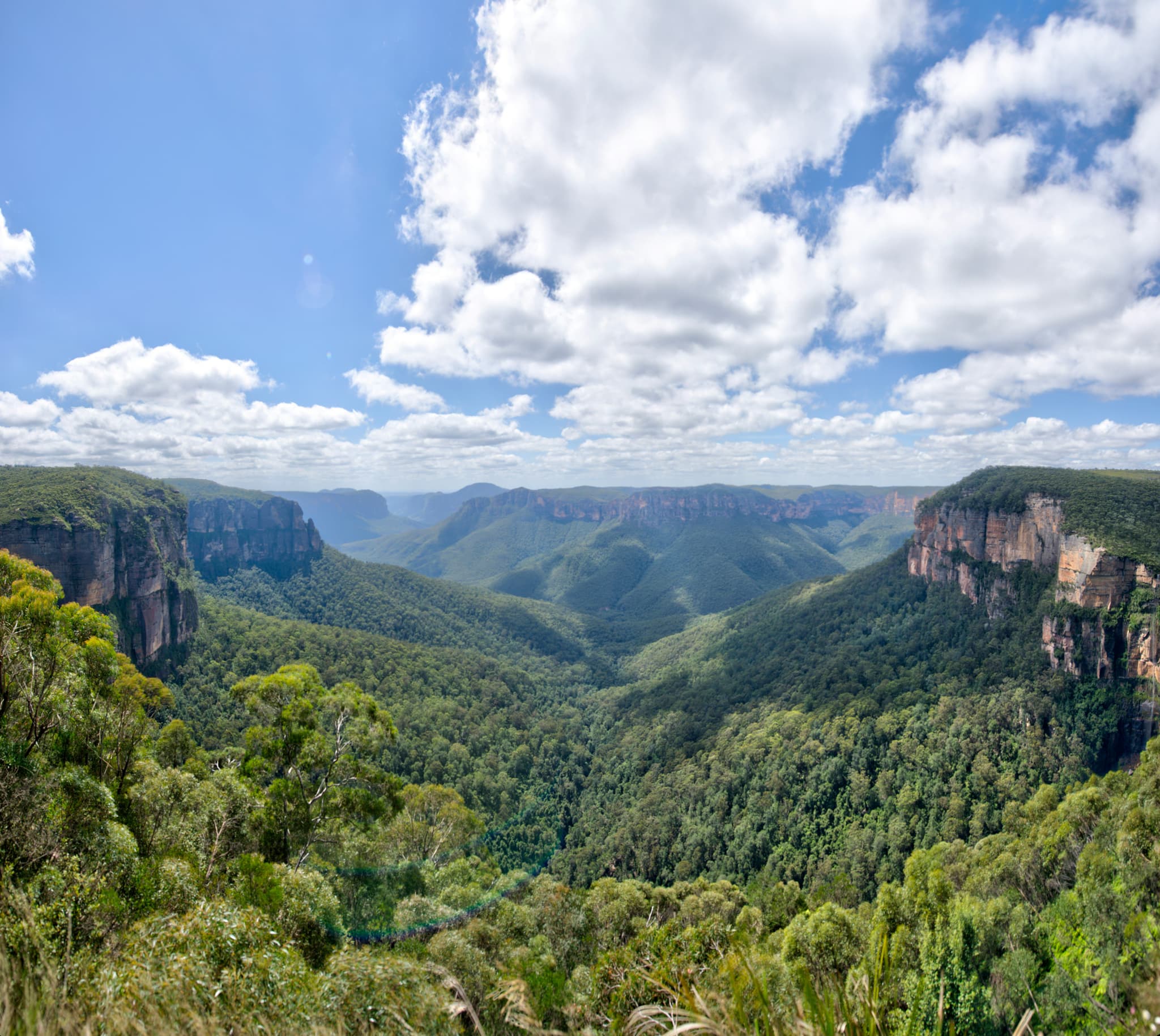 Valley with green lush mountains and trees in Blue Mountains National Park