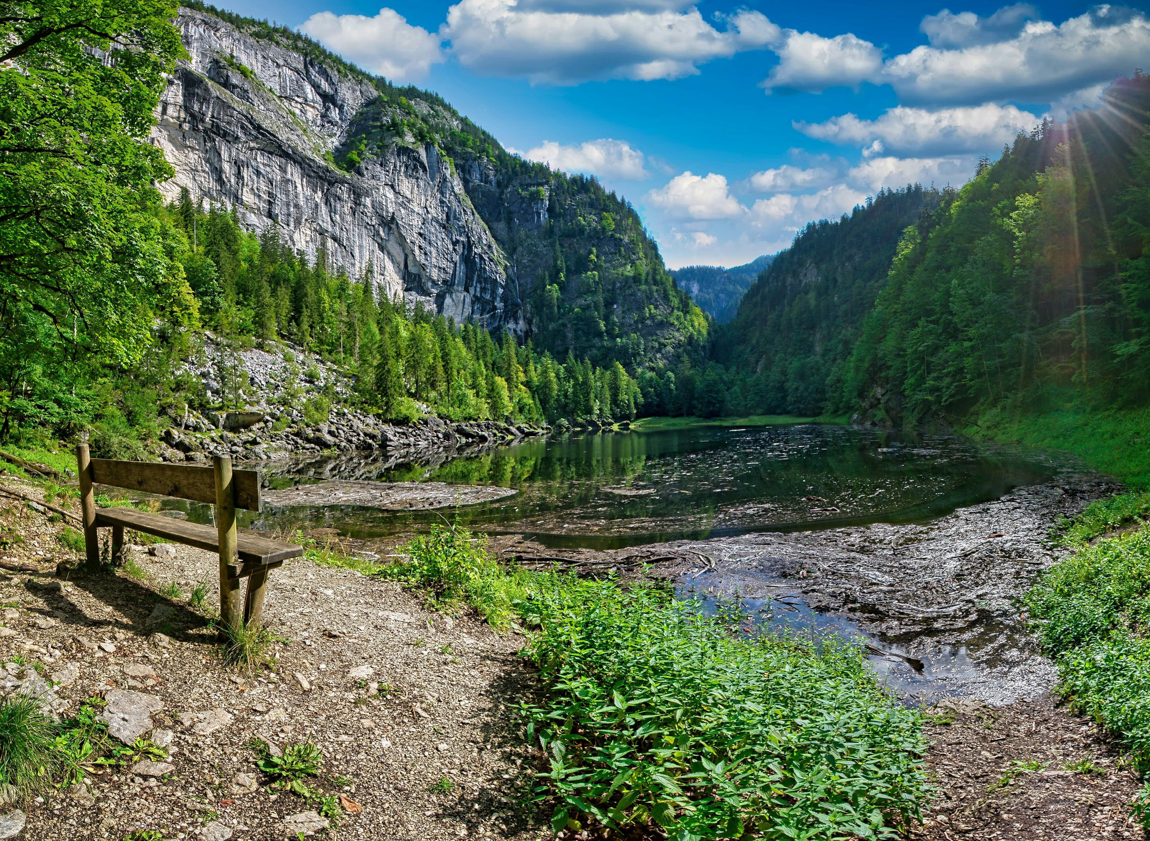 A remote lake in Salzkammergut lakes in the middle of a forest