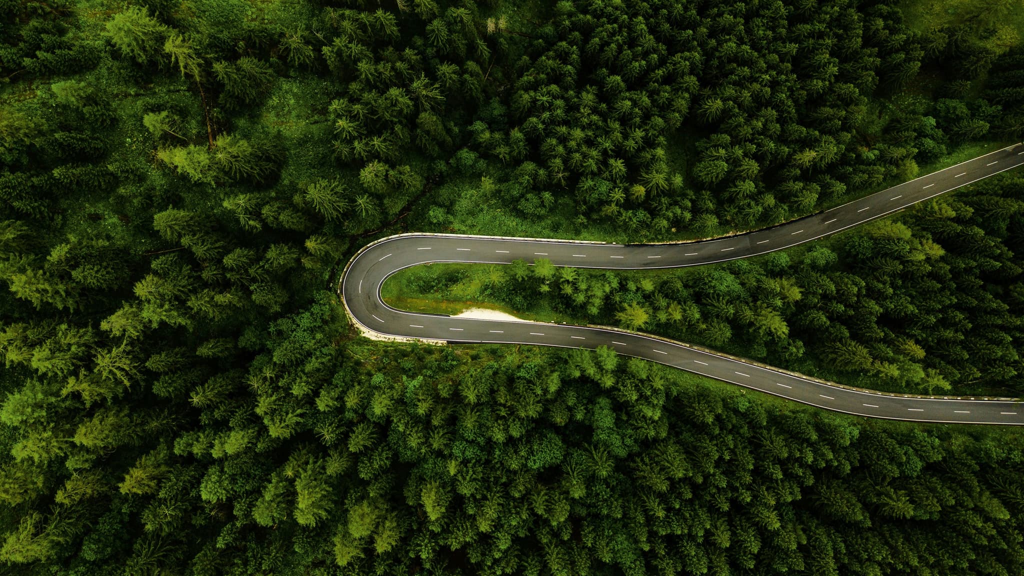 A windy road in a forest, an aerial view