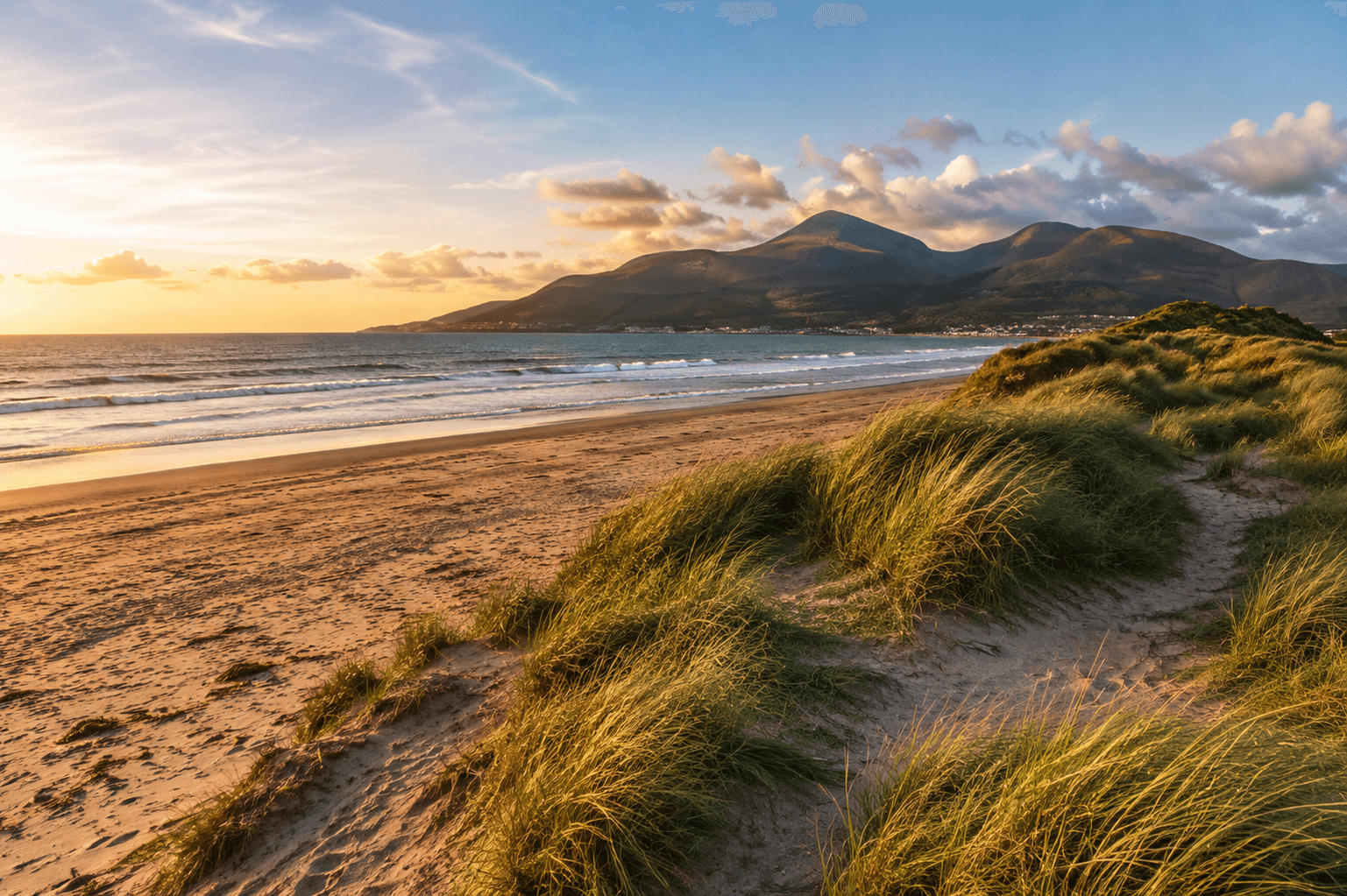 Dunes and beach during sunset golden hour