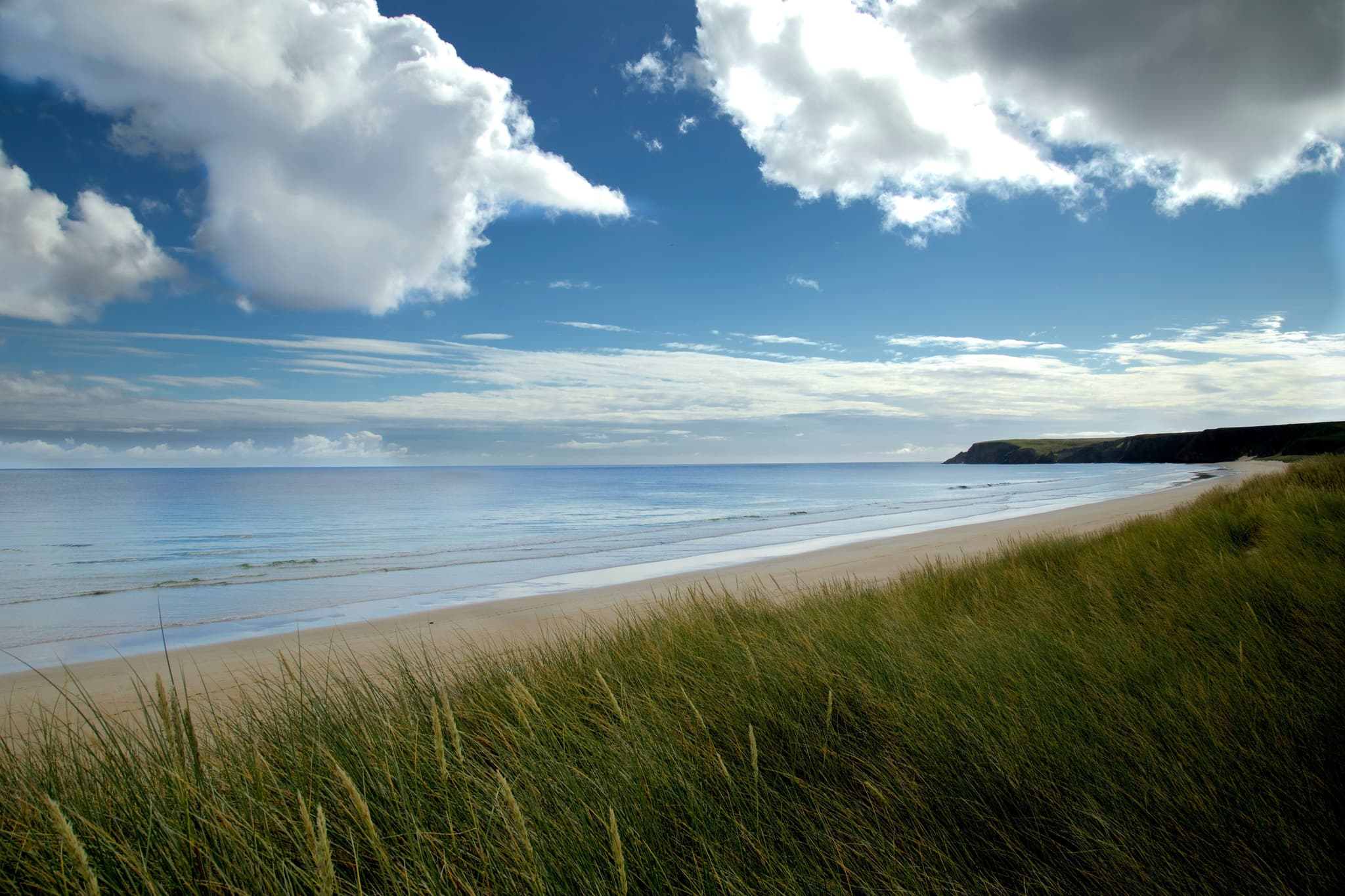 Dunes with high grass on the beach on a cloudy but sunny day