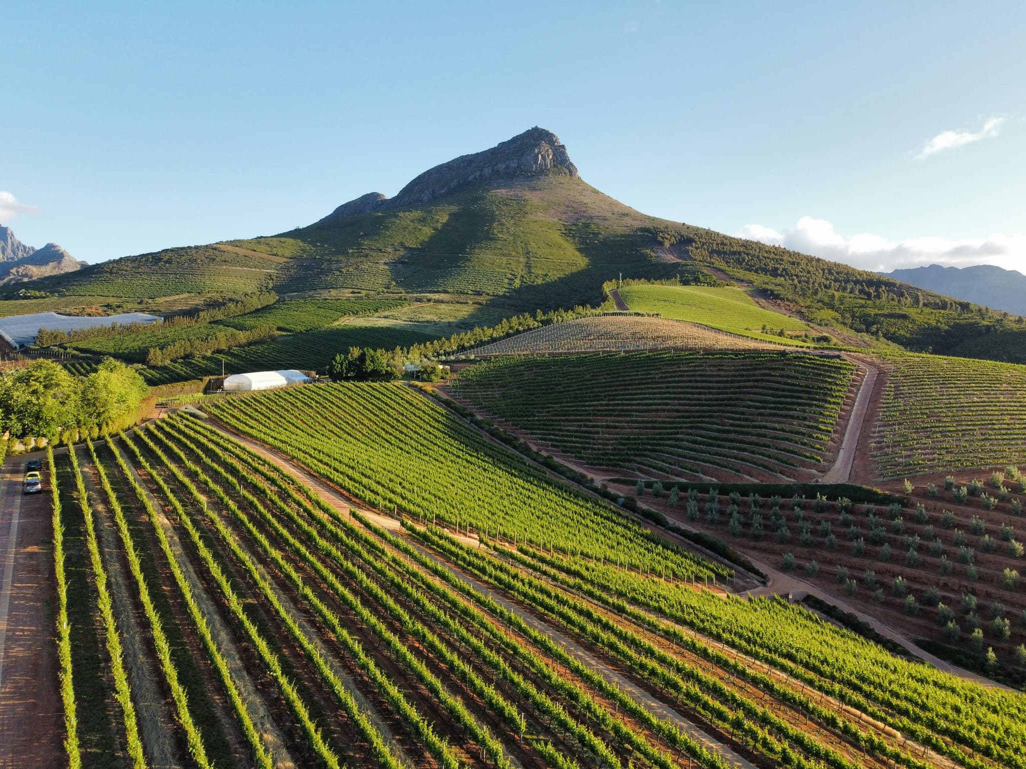 The Cape Winelands: Stellenbosch with green grass and vinyards