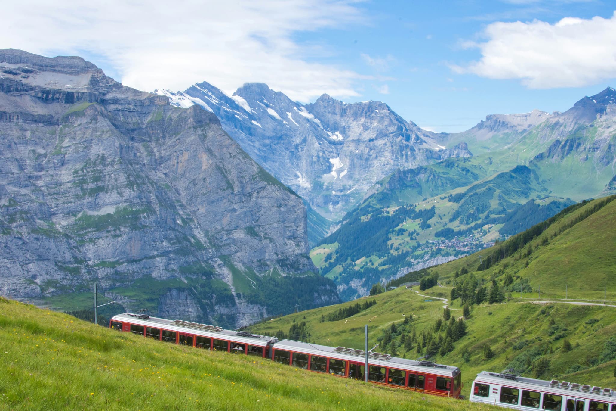 Train in switzerland landscape