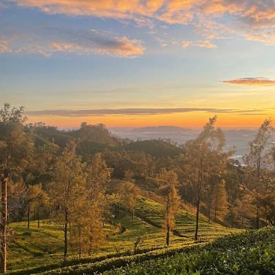 Lipton's Seat Sunrise View Point