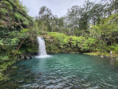 Pua'a Ka'a State Wayside