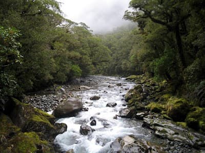The Chasm Viewing Bridge