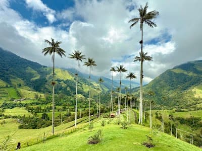 Cocora Valley Anticlockwise Trail Head