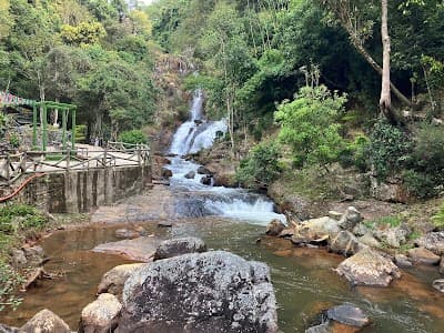 Datanla New Alpine Coaster