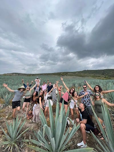 The Mezcal Journey