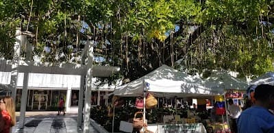 The Antique Collectible Market