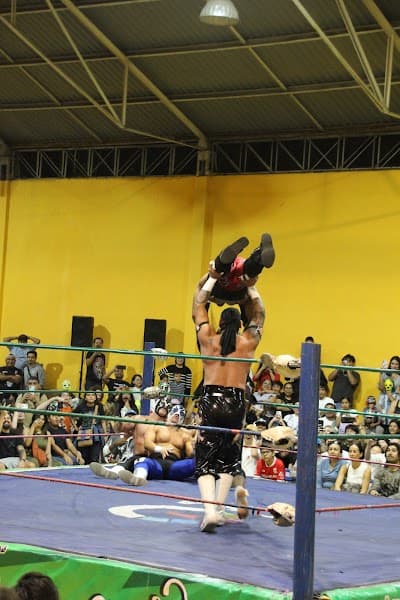 Arena Oaxaca