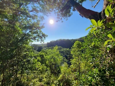 Waikamoi Nature Trailhead and Parking Area