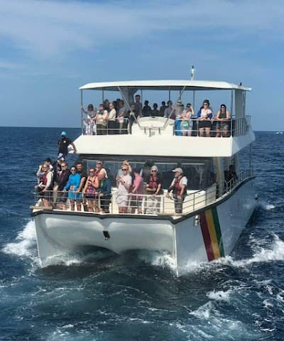 Whale watching club ( WWC ❤️ )