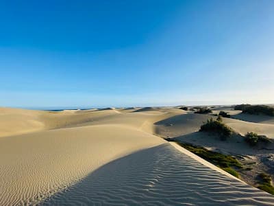 Dunas de Maspalomas