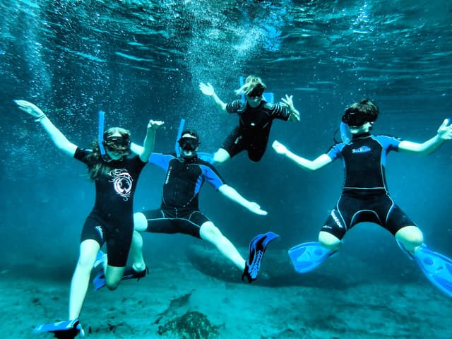 Edventure Tours