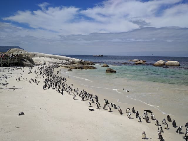 Boulders Beach