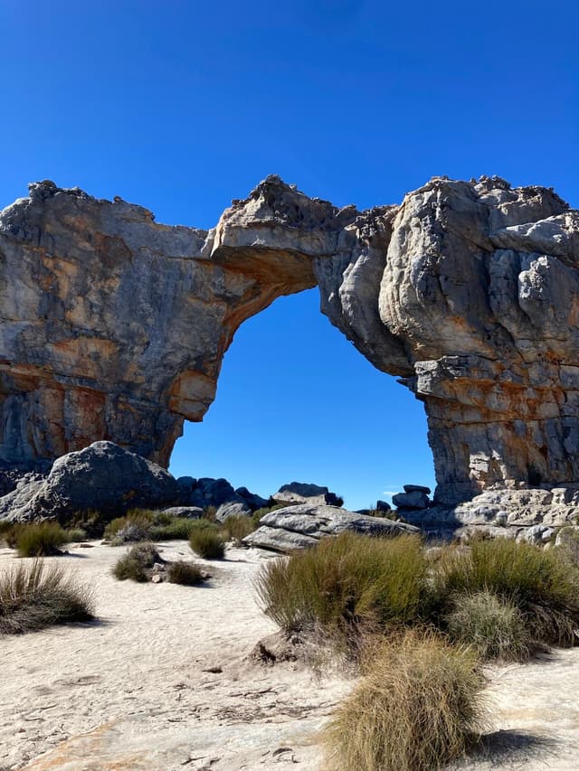 Wild Cape Hikes