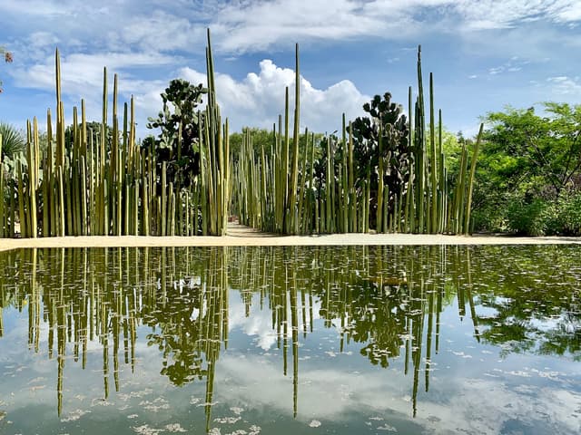 JardĂn Etnobotánico de Oaxaca
